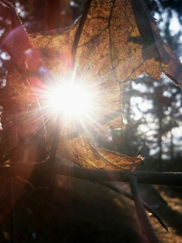 The Sun Reflection..