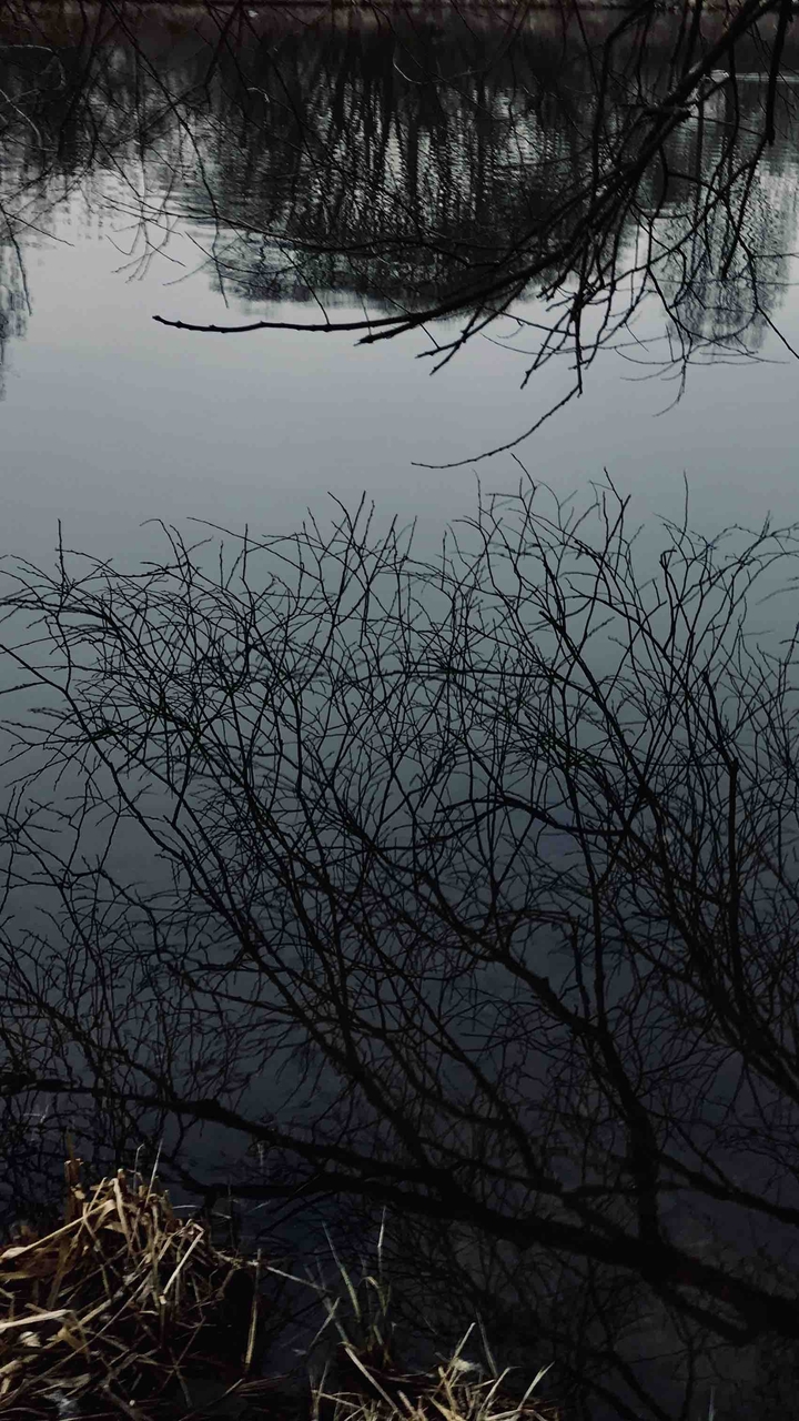 Beautiful winter