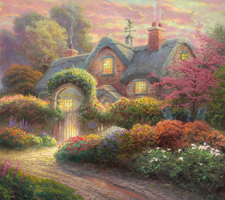 beauty home