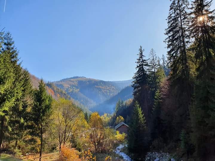autumn scenery