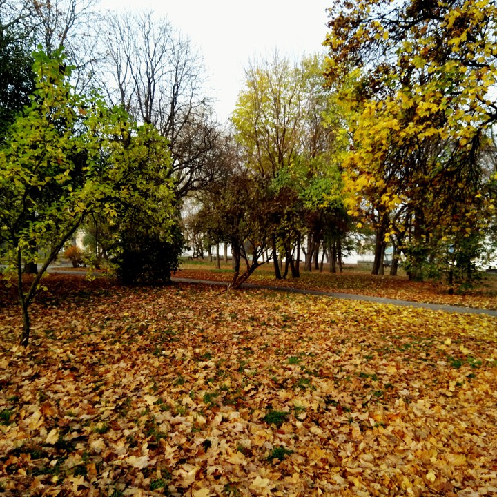 Fall