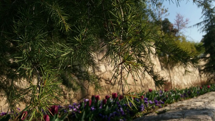 spring near us...!