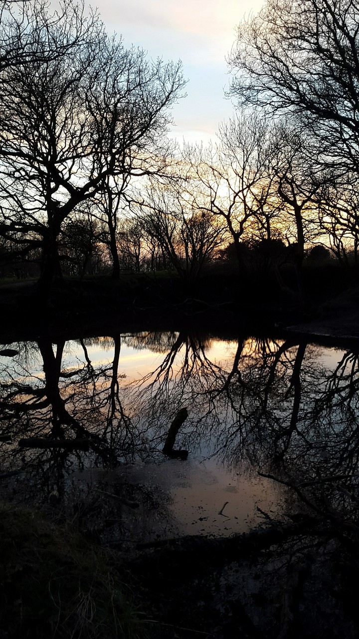 reflections