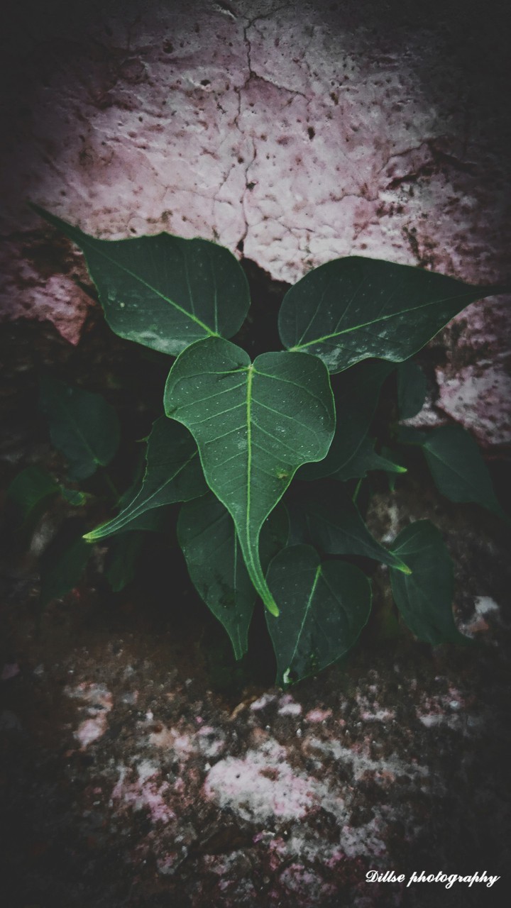 some special vibes your way...