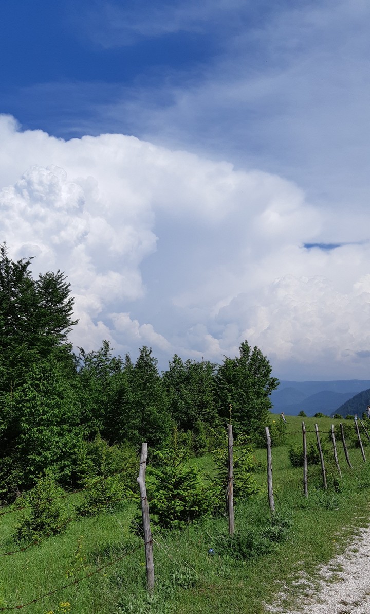 Nature