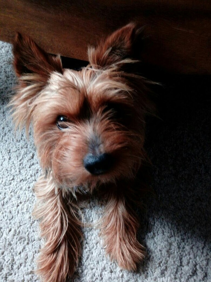 Titou