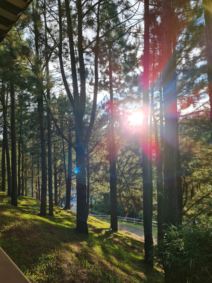 sunrise