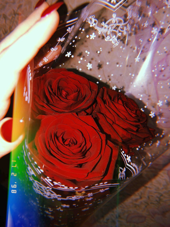 red rose