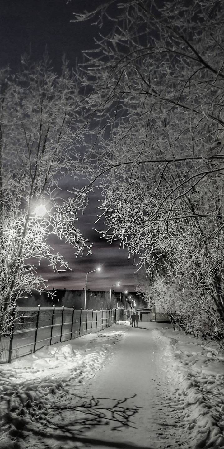 Evening