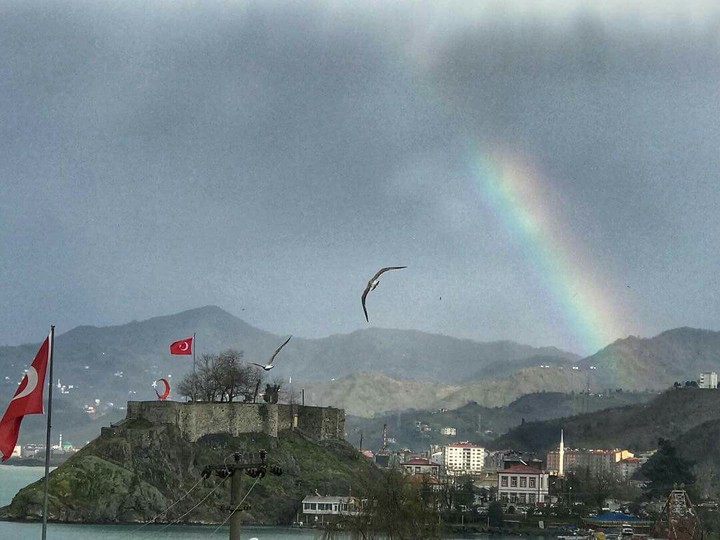 Rainbow 
