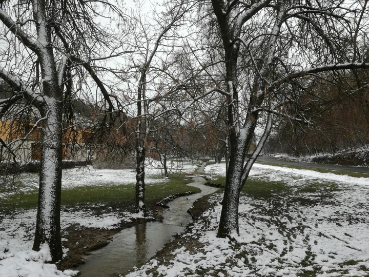 winter stream