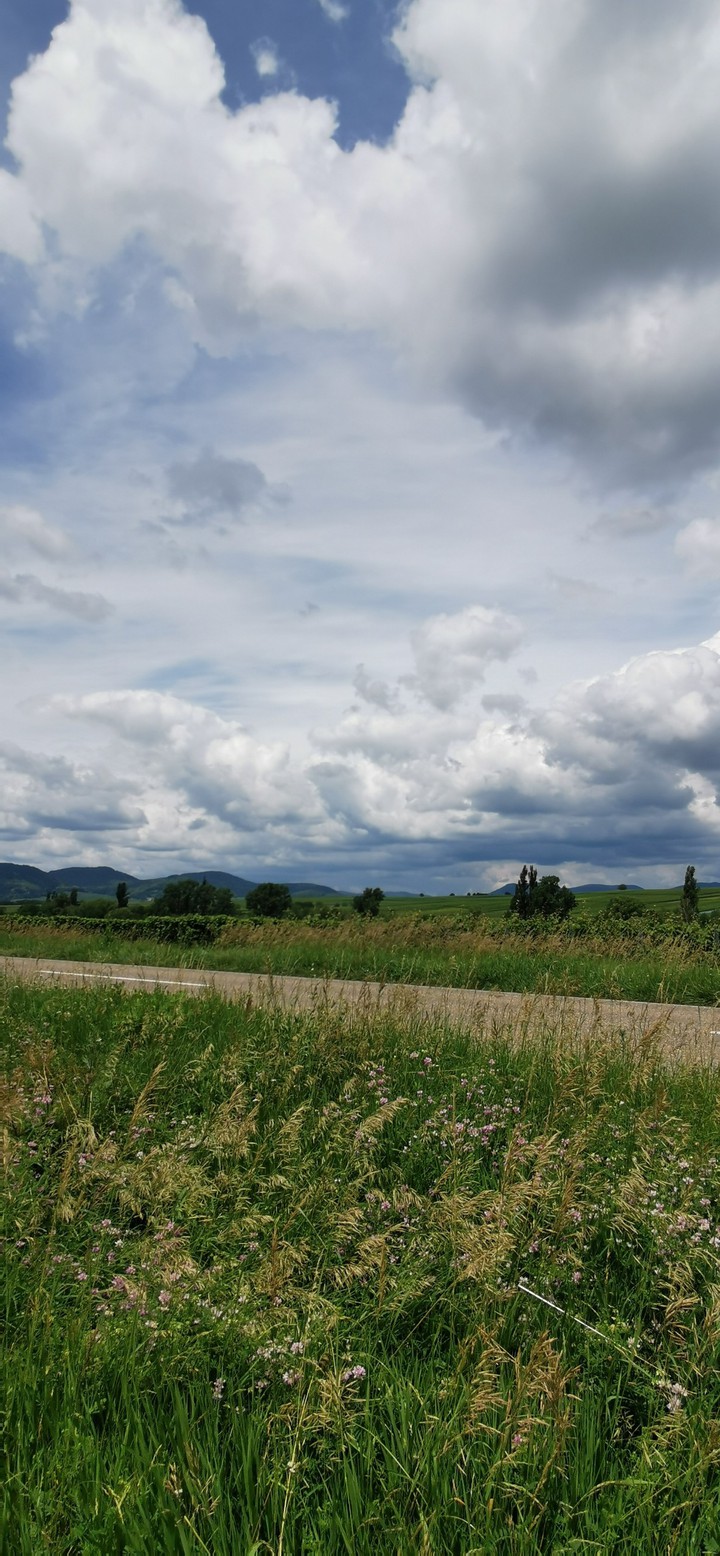 natura