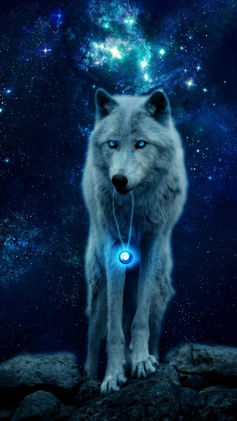 lobo hd olivares