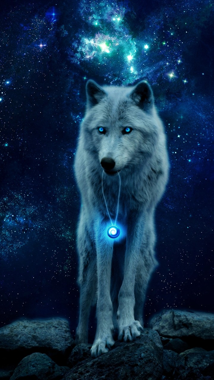 lobo hd olivares