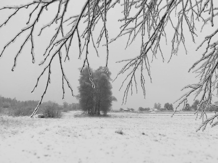It's winter