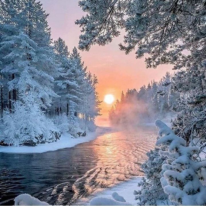 winter