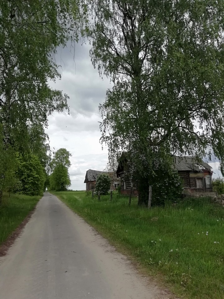 лето