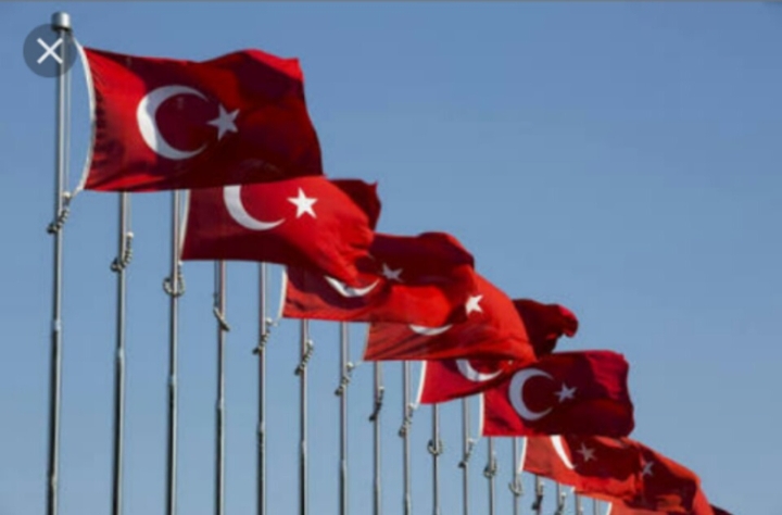 Türj bayrağı