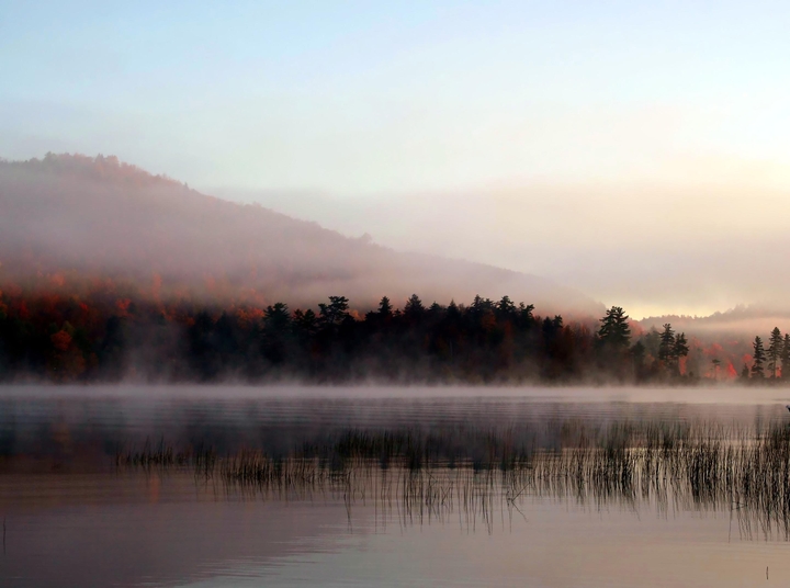 Misty