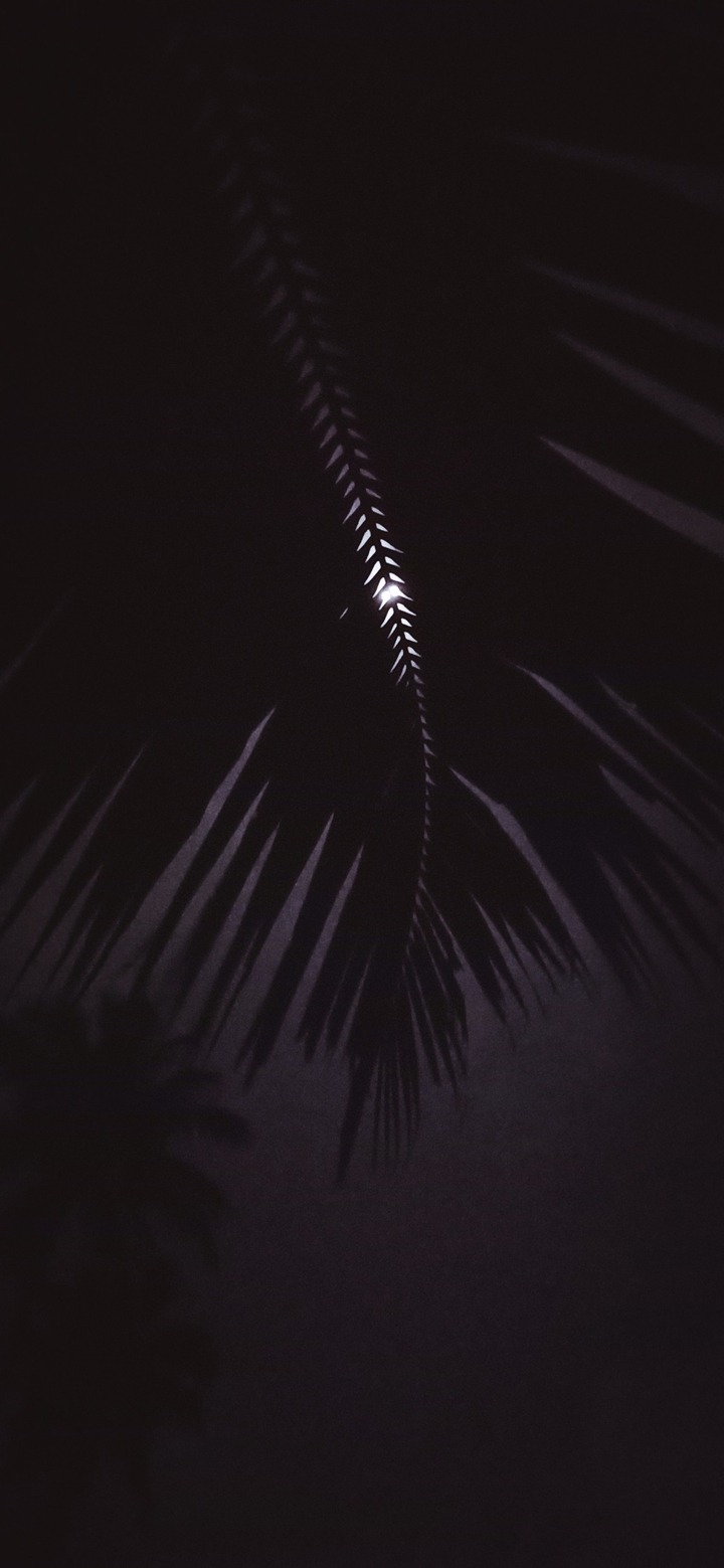 Hidden Moon