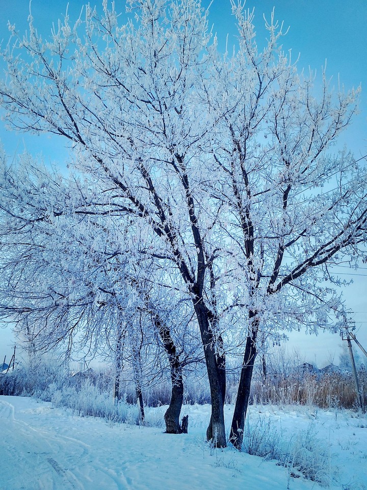 Winter