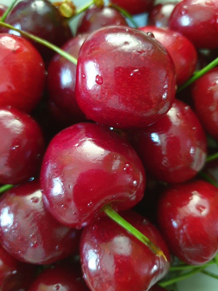 cherry