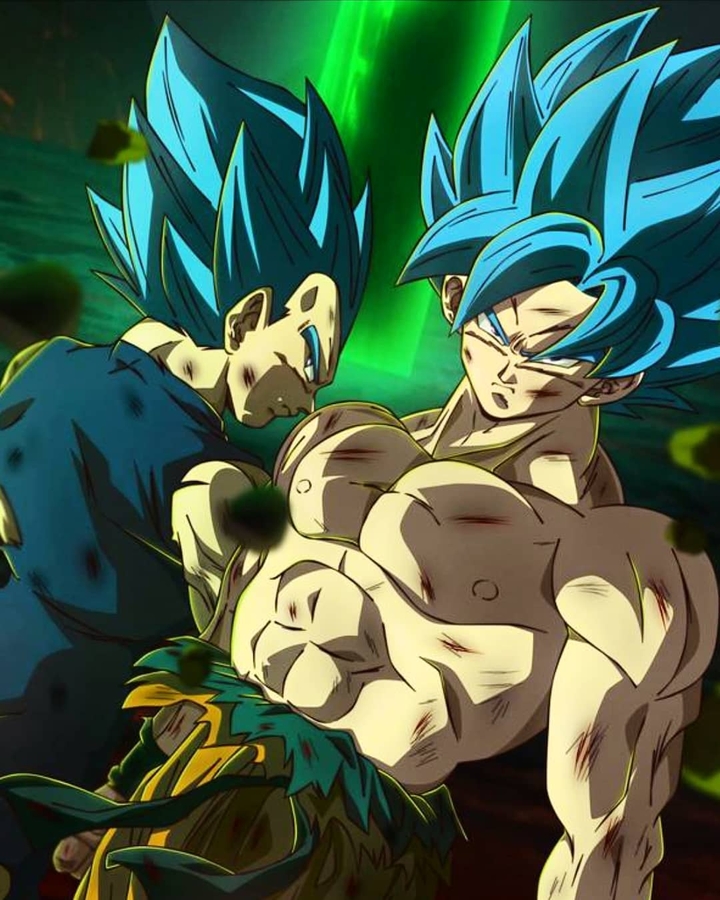 Goku & Vegeta SSJ Blue