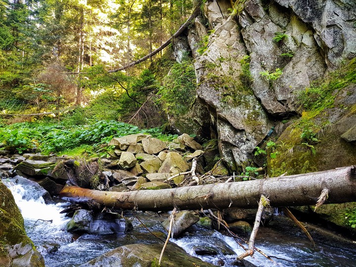River in the mountains