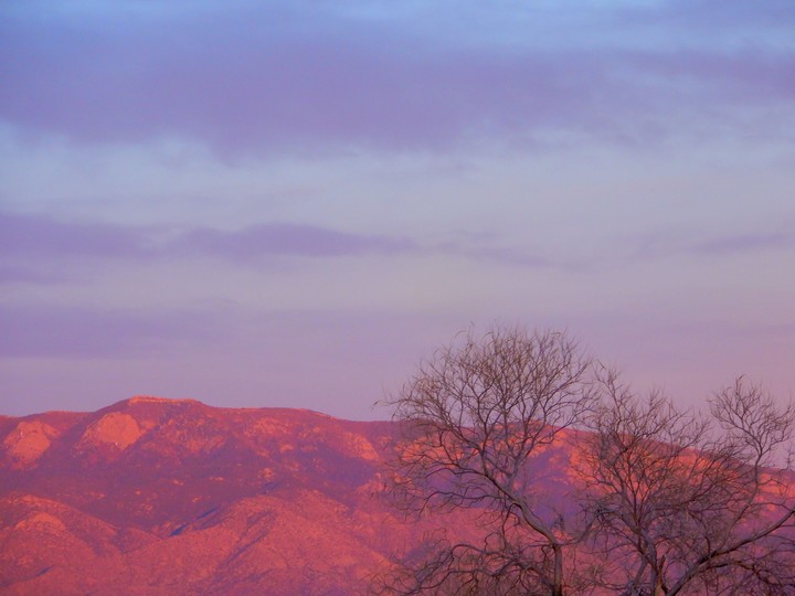 pink mountains at sunset