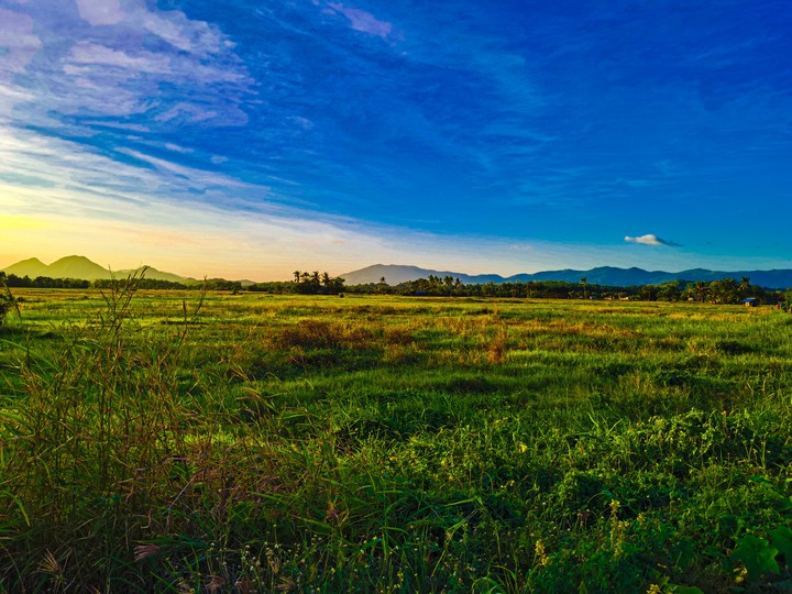Landscape