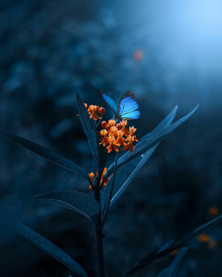 #Beautiful Nature