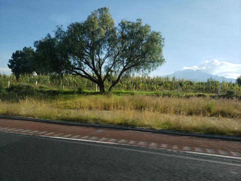 Travel