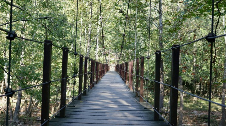bridge
