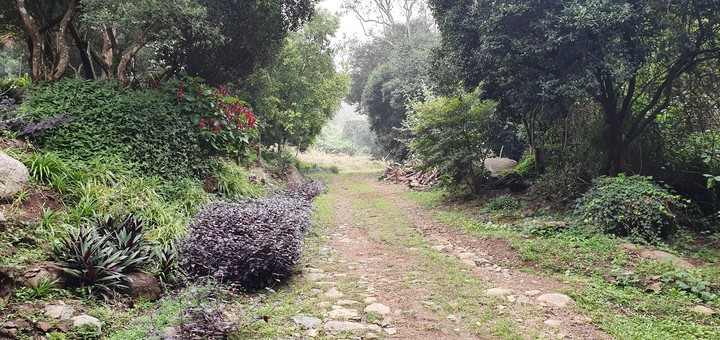 yercaud