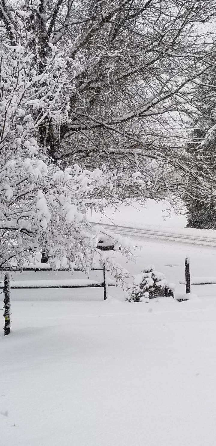 Wintery day