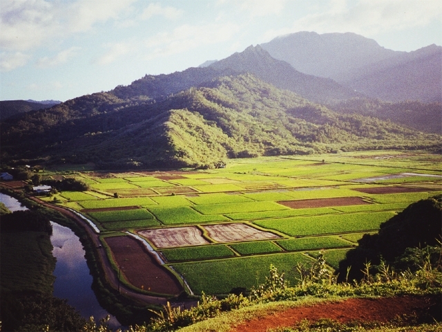 mountain veiw