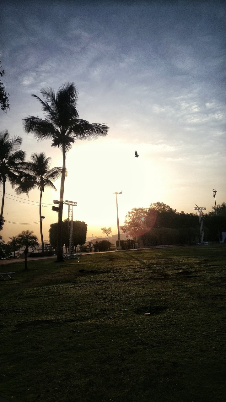 Morning walk