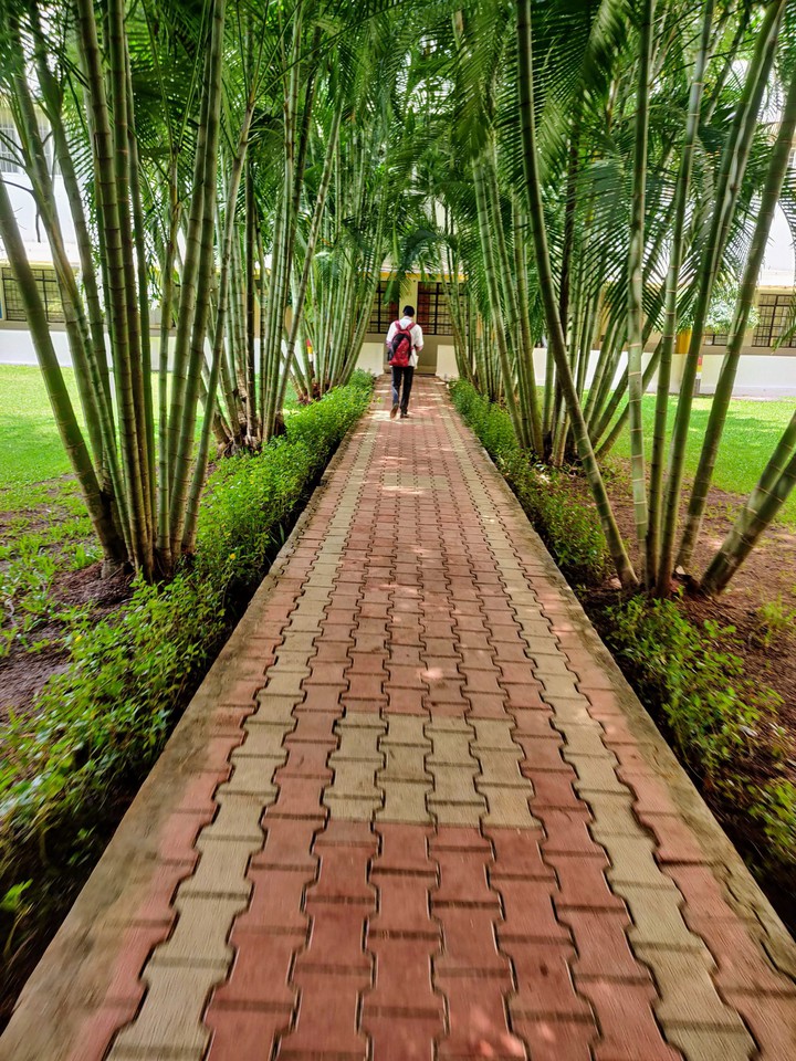 doctor's path