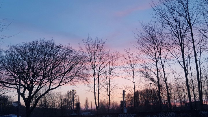 Sky