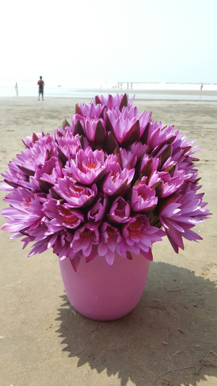 Cox's Bazar Sea Beach, Bangladesh