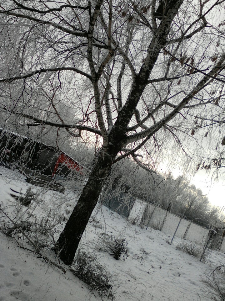 зимушка зима