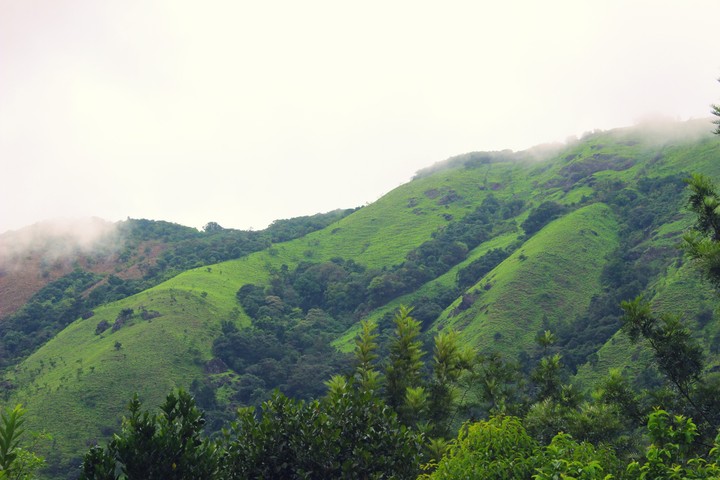 madikeri#coorg#karnataka