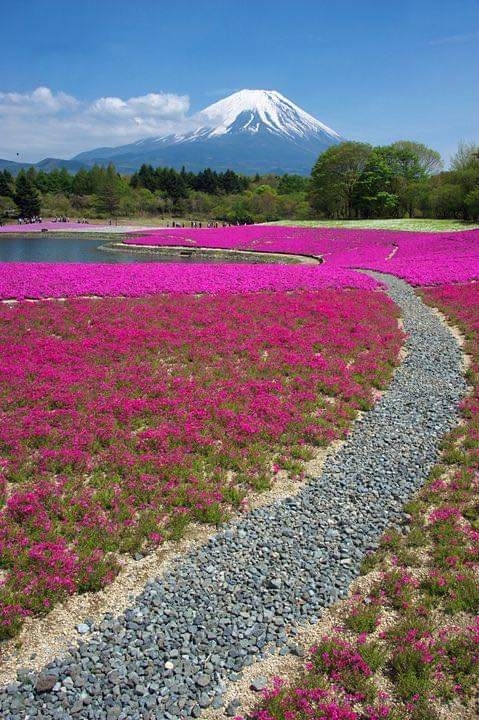 takinoue park japan