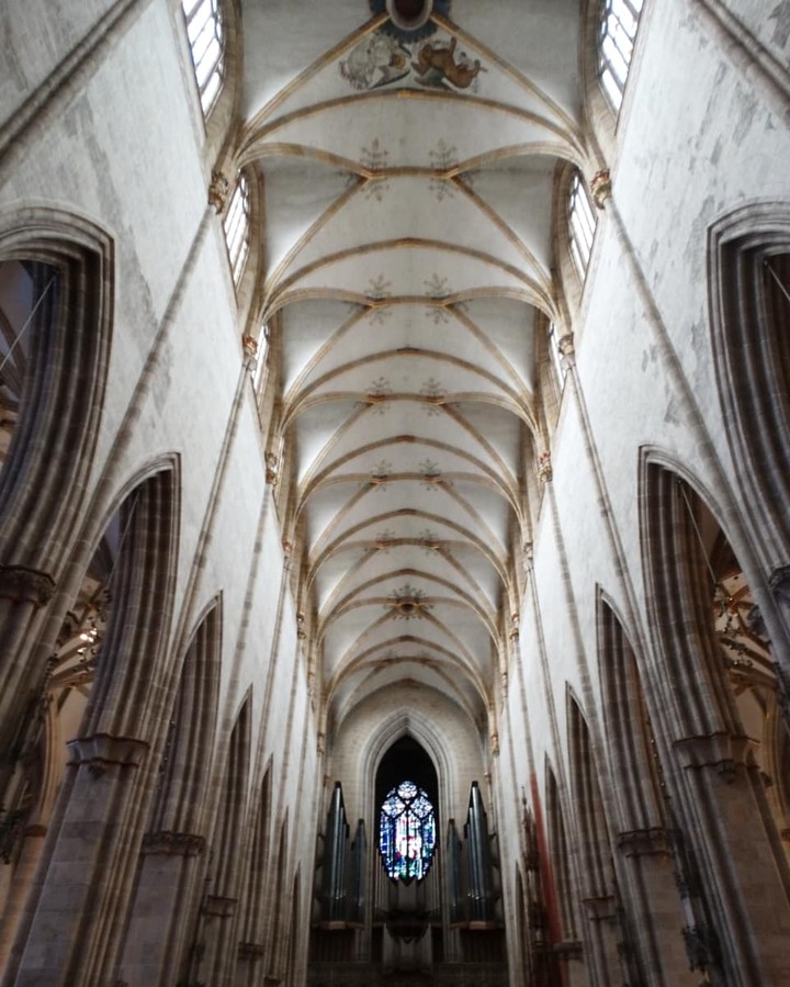 ulm