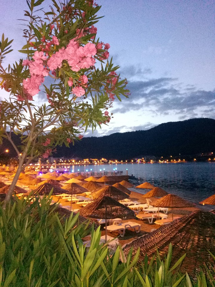 turkey