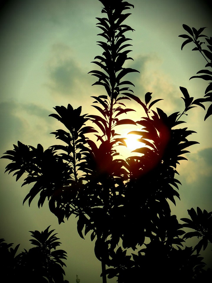 Sunrise