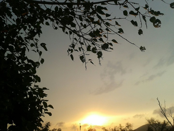 sunset