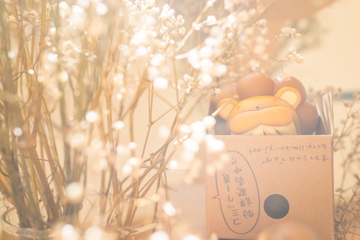 활짝 웃는 사자