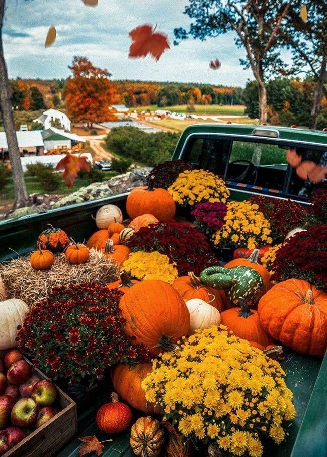 autumn