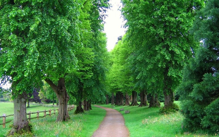 attractive nature